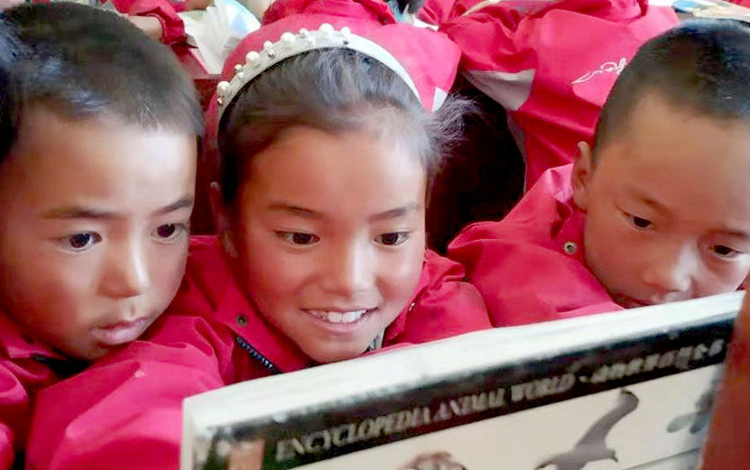 西藏：教育架起脱贫天路