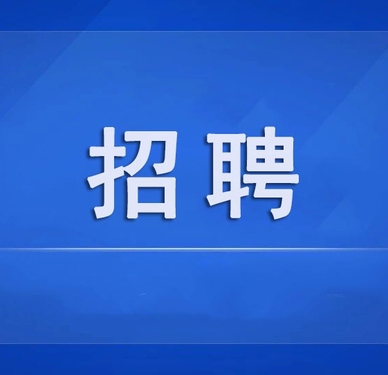 天津市武清区教育系统公开招聘教师