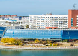 威海职业学院2026年公开招聘高层次人才公告