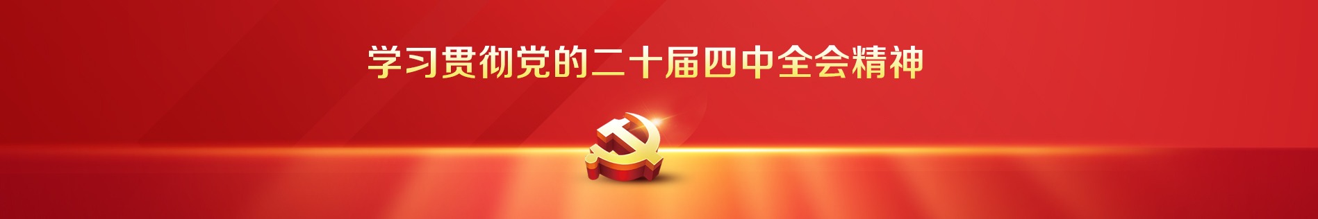 学习贯彻党的二十届四中全会精神