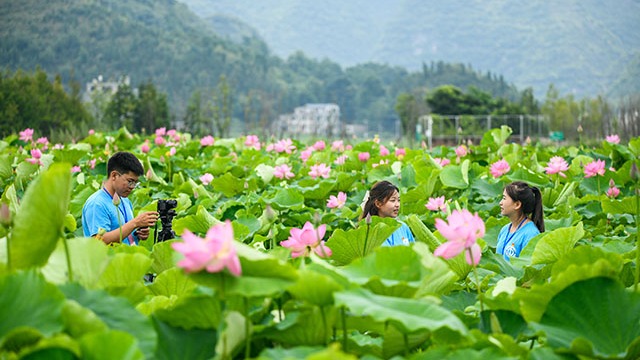 贵州安龙：暑期“三下乡”助力乡村振兴