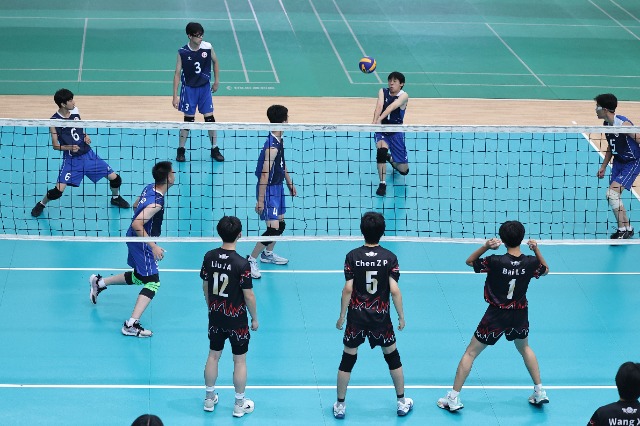 三大球3.jpg