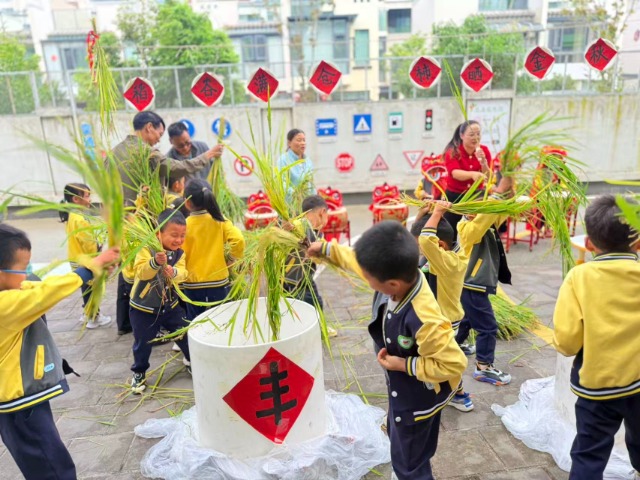 姚安县幼儿园小朋友体验收稻谷。 吴艳芹摄 (2).jpg