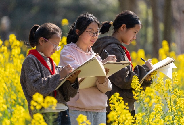 3、2026年3月12日，重庆市南川区金山镇小河坝社区油菜花田春意盎然，金山湖小学校的学生们在金黄的油菜花田中，手持画板认真观察、构思写生内容。.jpg
