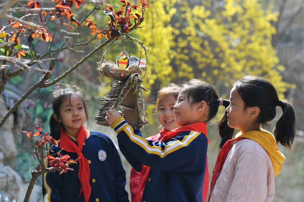 山东青岛：我为小鸟筑新家