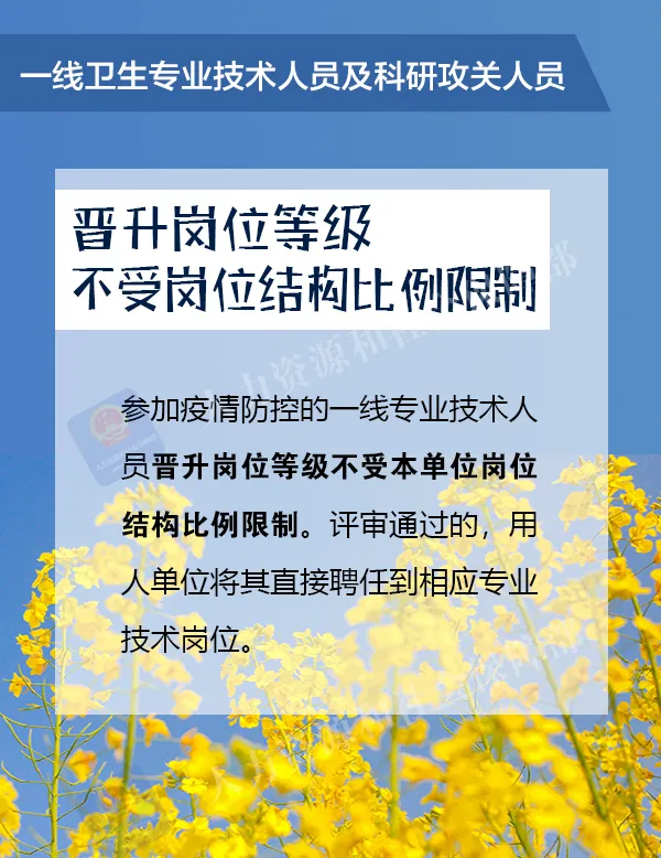 640 (2).webp