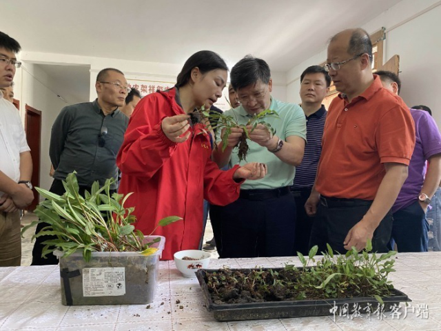 华中农大：赓续红色史脉 与时代同频共振(图10)