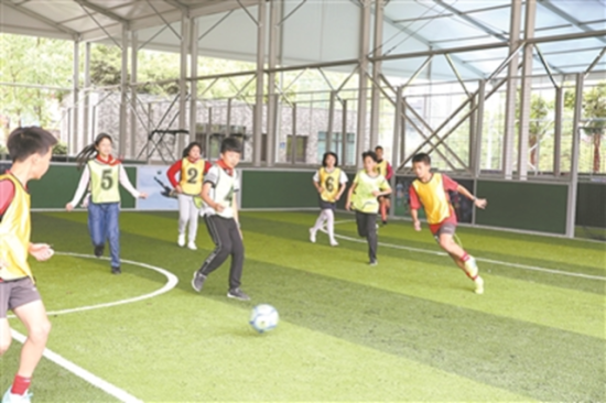 奇异果体育官网2021年中小学教学用书目录发布、徐青森任社科司司长…… 教育部一(图5)