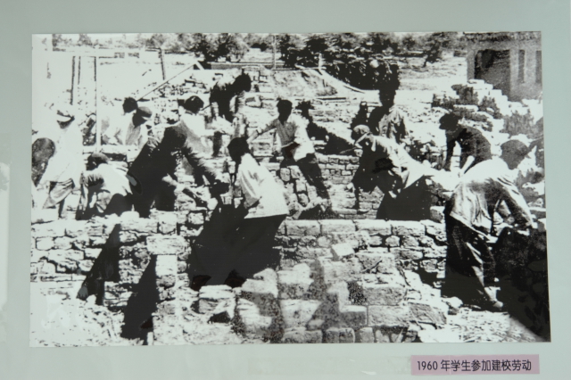 1960年石河子农学院学生参加建校劳动.JPG