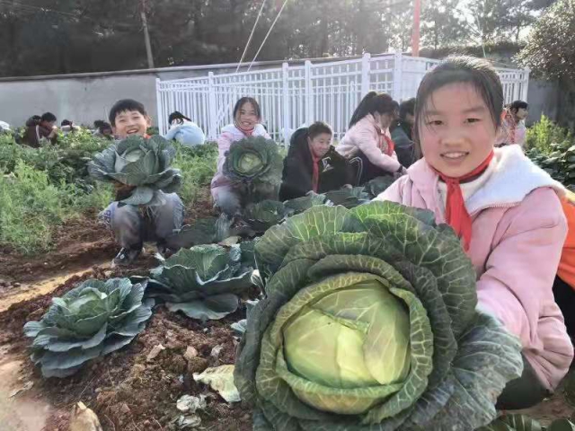 微信图片_20211229160916.jpg