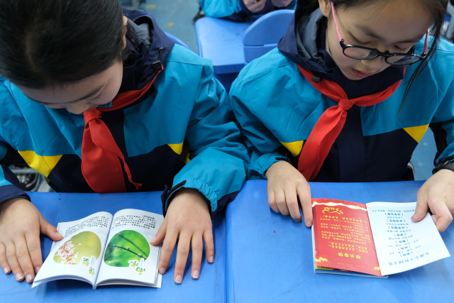 合肥市金湖小学学生展示特色寒假作业内容.JPG