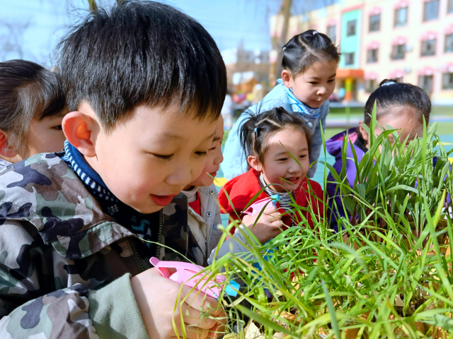 孩子们在植物区养护绿植，观察绿植生长情况11.jpg