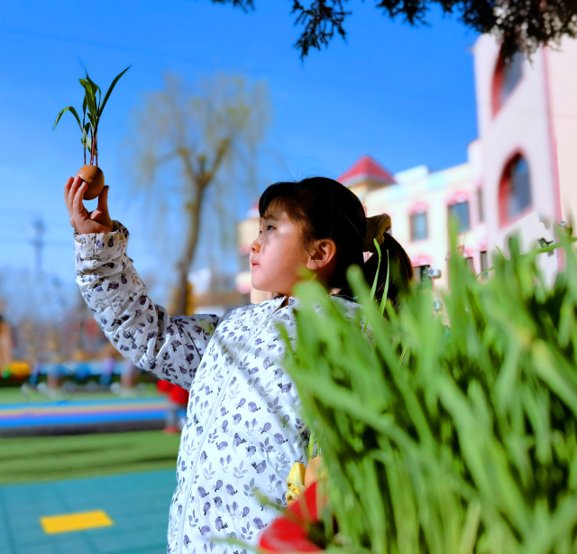 孩子们在植物区养护绿植，观察绿植生长情况13.jpg