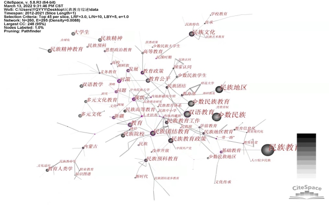 p19 图2 民族教育研究共现网络图谱（2012-2021）.jpg