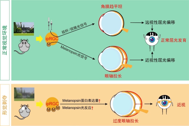 示意图.jpg