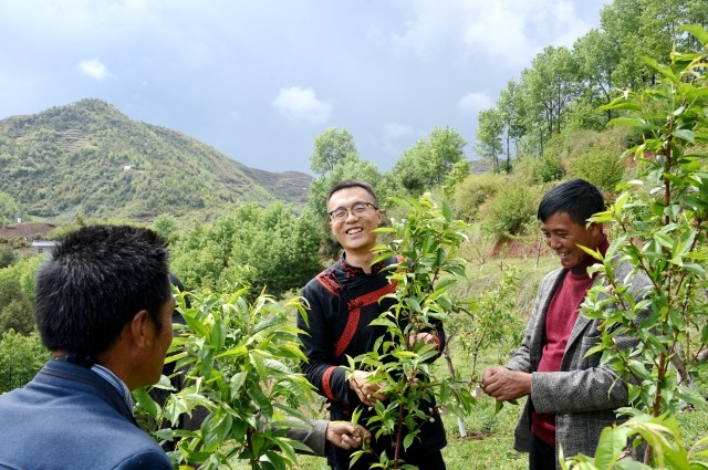 李凯与三河村民一起在冬桃园里一起劳动。 (1).jpg