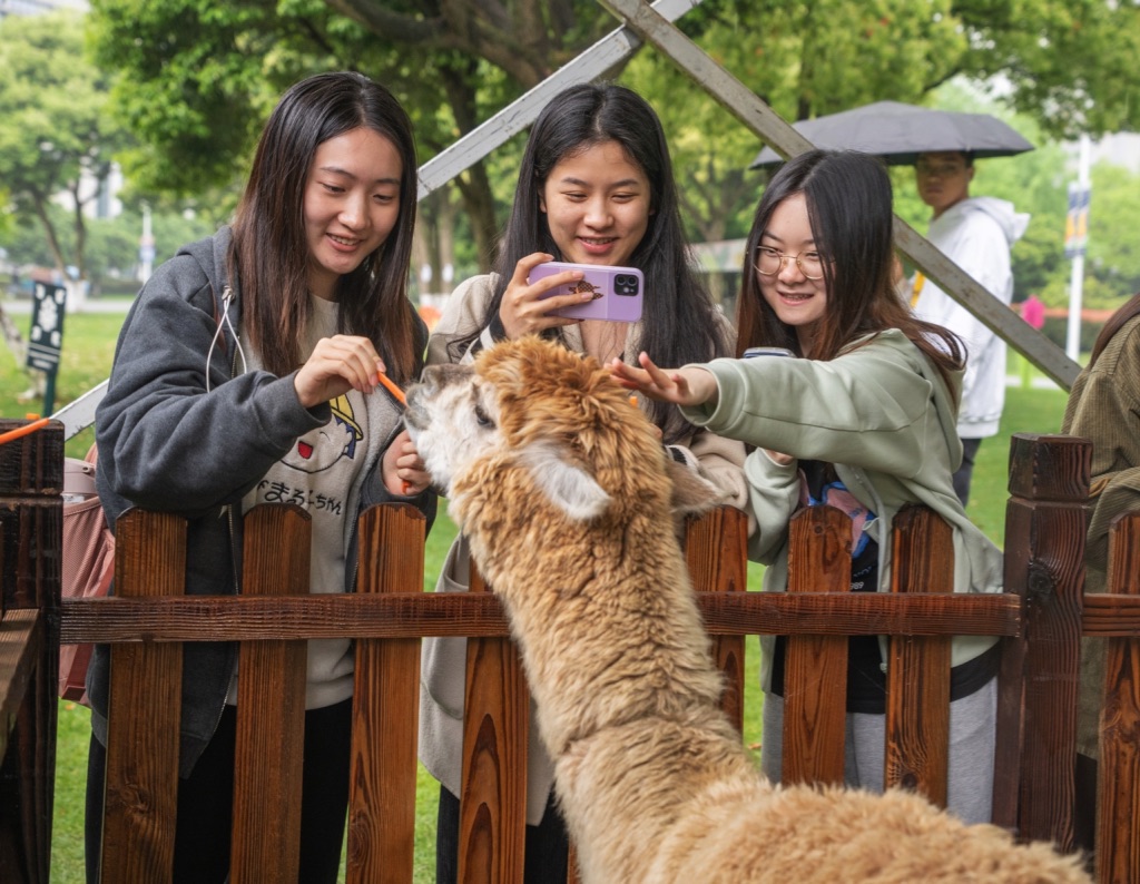 学生与小动物互动 学校供图.jpg