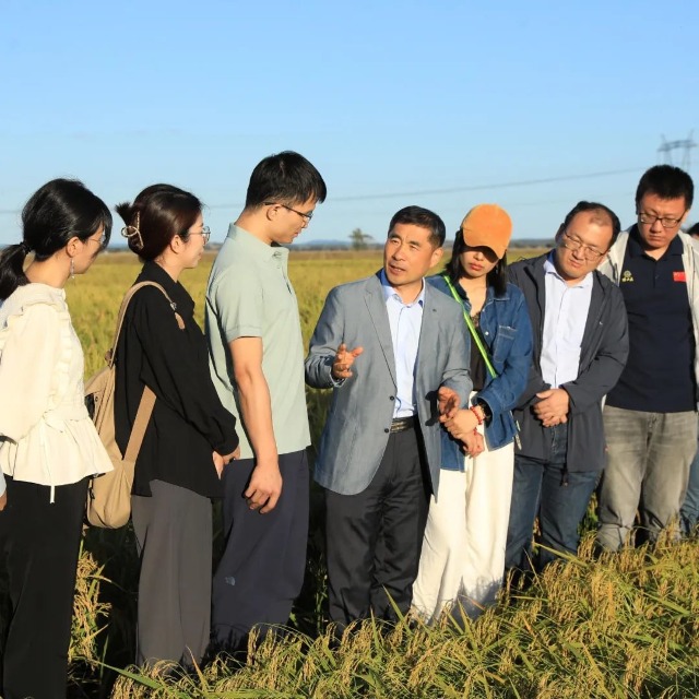 马军院士在稻田里授课。辛然摄.jpg 马军院士在稻田里授课。辛然摄.jpg