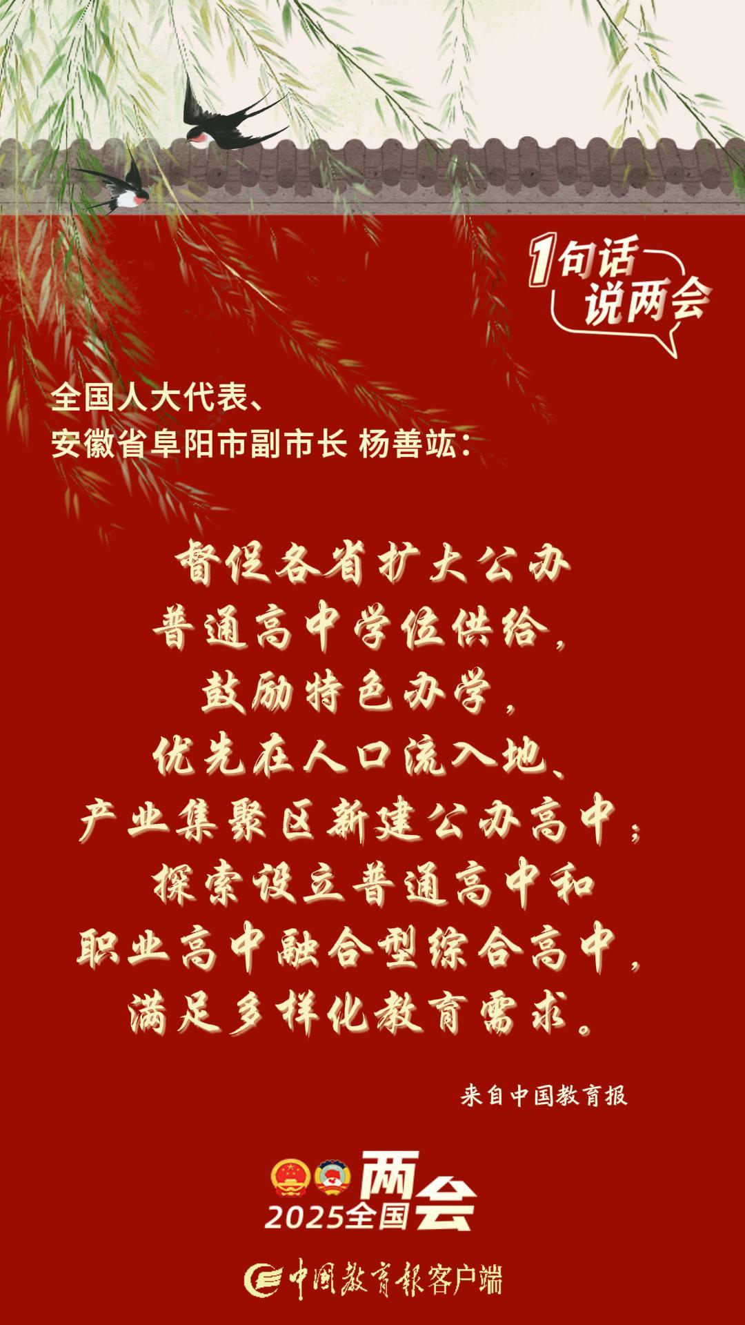 杨善-封面.jpg