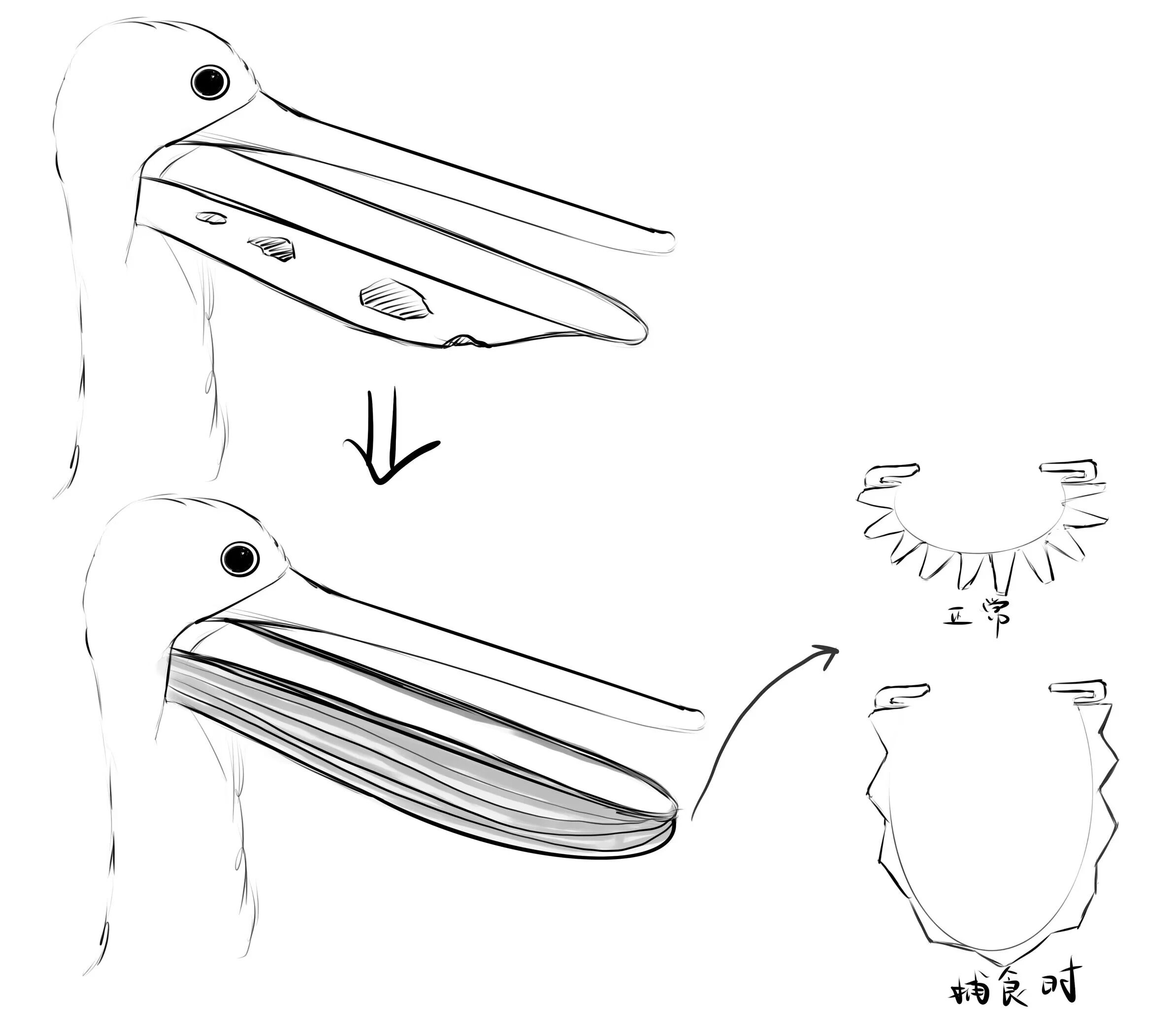 江大图片01.jpg 江大图片01.jpg