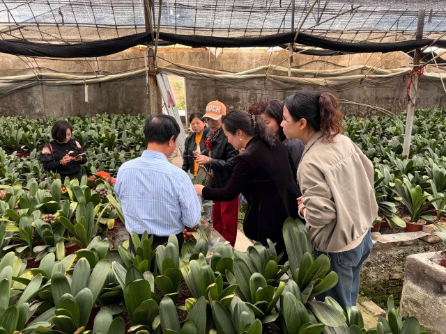 大隐镇成校将技能培训送到君子兰基地 学校供图.png 大隐镇成校将技能培训送到君子兰基地 学校供图.png