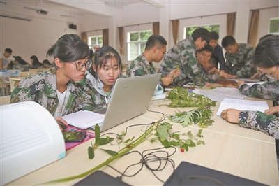 提升本科教学质量如何发力