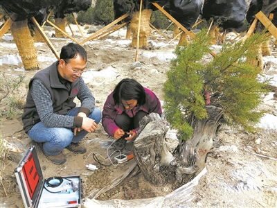 在雪域播种希望