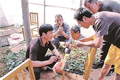 见微知著 催动改革燃星火