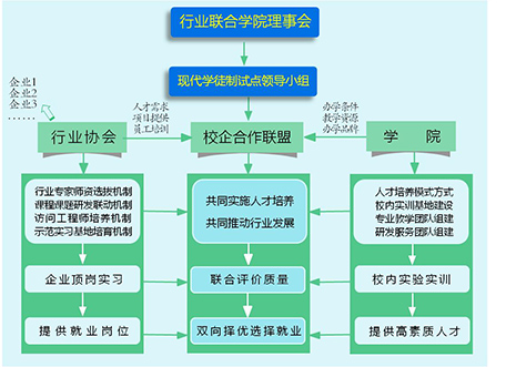 北京西城区一校外培训机构违规开展线上教学，被停止办学资质